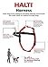 HALTI Front Control Harness - To Stop Your Dog Pulling on the Leash. Adjustable, Lightweight and Easy to Use. Anti-Pull Dog Training Harness for Small Dogs (Size S)