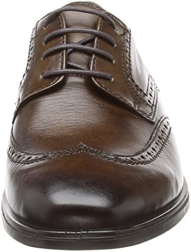 ecco melbourne wingtip