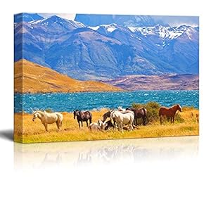 Canvas Prints Wall Art - Beautiful Scenery of Thoroughbred Horse Grazing in a Meadow Near The Lake | Modern Wall Decor/Home Art Stretched Gallery Canvas - 12" x 18"