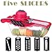 SuperB2C 5 in 1 Mandoline Slicer,Julienne Vegetable Slicer,Food Container Cutter for Cucumber, Onion, Cheese with 5 Stainless Steel Blades (Red)