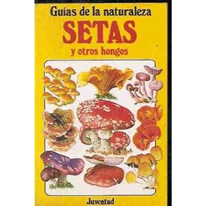 Setas y Otros Hongos (Spanish Edition)