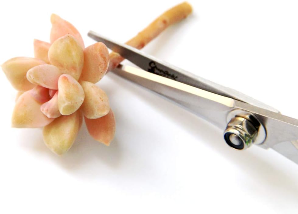 Gardening Scissors: Home Improvement