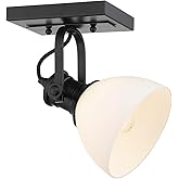 Golden Lighting 3118-1SF BLK-OP Hines Semi-Flush, Transitional, Matte Black with Opal Glass