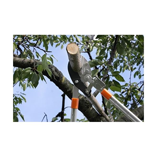 Gartenpaul Teleskop Astschere mit 6-Fach verstellbaren Griffen | Amboss Klingensystem mit Antihaftbeschichtung… – Bild 5