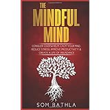 The Mindful Mind: Conquer Overwhelm, Calm Your Mind, Reduce Stress, Improve Productivity &amp; Create a Life of Abundance