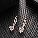Buyless Fashion Girls And Women Dangle Earrings Rose Gold CZ Fashion Jewelry - EDGRSGHRT