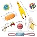 Big Bigger Fun Small Dog Toy Set Indoor or Outdoor Pure Cotton Rope chew Toy Squeak Toys Dog Ball Plush Dog Toy Screaming Chicken, Beautiful and Durable, Suitable for Small and Medium Dogs (8 Pack)