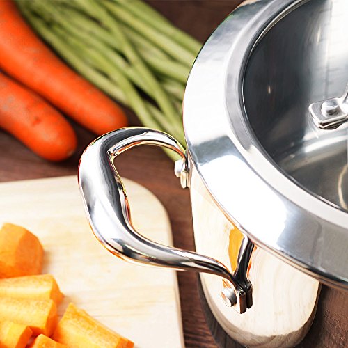 HOMI CHEF Mirror Polished NICKEL FREE Stainless Steel 6 QT(Quart) Stock Pot with Glass Lid (No Toxic Non Stick Coating, Whole-Clad 3-Ply) - Triply Stainless Steel Pots and Pans - Soup Pots with Lids