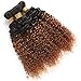 Feelgrace Hair 8A Brazilian 2 Tone Ombre Color Kinky Curly Hair 3 Bundles with 4X4 Closure Ombre Color Free Part Lace Closure with Virgin Remy Human Curly Hair Bundles Extensions(18 20 22+16)