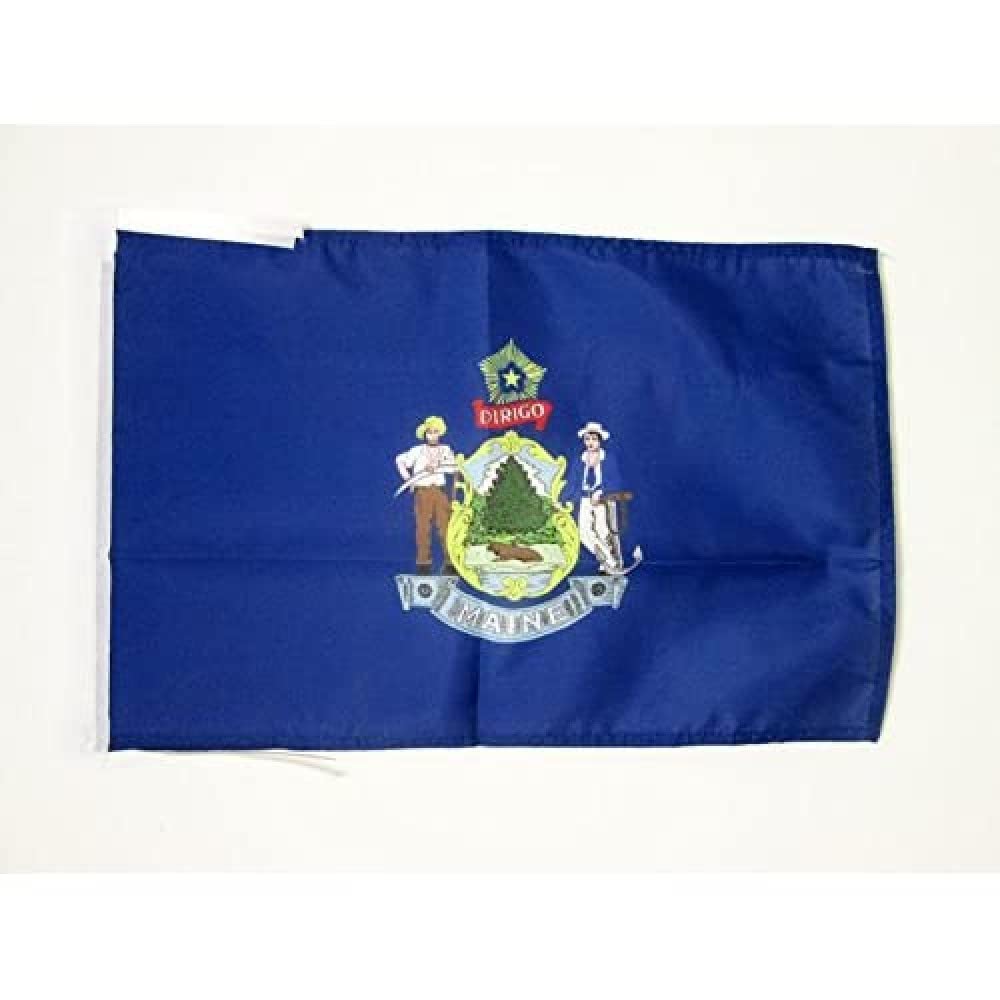 AZ FLAG - Maine Flag - 18'' x 12'' - 100% Polyester US state of Maine Small Banner with Two Cords - Fade Resistant - Vivid Colors - 18x12 in - 45x30 Cm — image 1