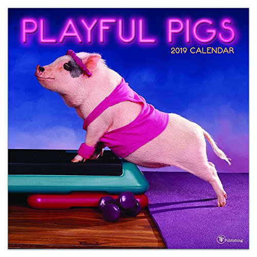 2019 Funny Animal Calendars Kritters in the Mailbox Funny Animal