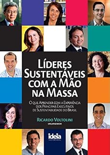 Livro Líderes Sustentáveis Com A Mão Na Massa: O Que Aprender Com A Experiência Dos Principais Executivos De Sustentabilidade Do Brasil