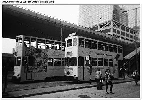 Lomography Simple Use Camera, Black and White Negative (SUC100BW)