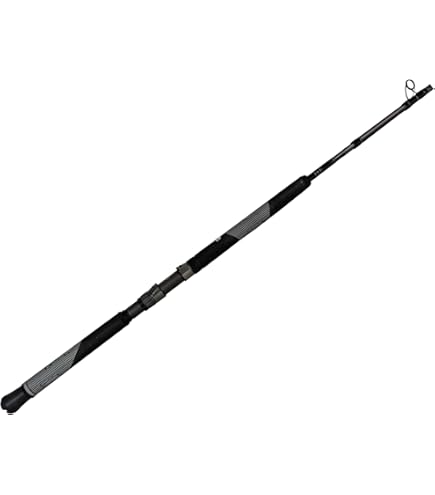 Amazon.com : Phenix Rods Black Diamond Spinning / 8' / 1 PC