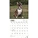 2017 Monthly Wall Calendar - Bull Terriers