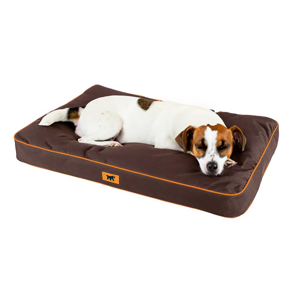 Ferplast Dog Mat & Cat Mat - Orthopedic Dog Bed Medium - Machine Washable - Dog Mattress - Cat Bed - Waterproof & Scratchproof - Removable Padding - Soft Dog Bed - Polo - 80 x 50 x h 8 CM, M, BROWN