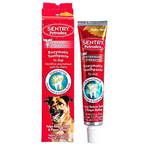 Petrodex Enzymatic Toothpaste for Dogs - Poultry Flavor, 2.5-Ounce, 2 Pack