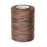 Coats & Clark Star Mercerized Cotton Quilting Thread Multicolor Thread 1200 Yd. Over The Rainbow