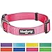 Blueberry Pet X-Small Dog Collar | Dog Collars for Small Dogs | Hot Pink Durable Quick Release Collar | Eco-Friendly French Pink Collar for Female Puppies | Safe Nylon Pet Collar