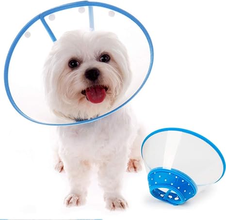 dog cone fitting