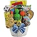 GreatArrivals Gift Baskets Egg-Streme Sports Easter Gift Basket for Boys, 3 Pound
