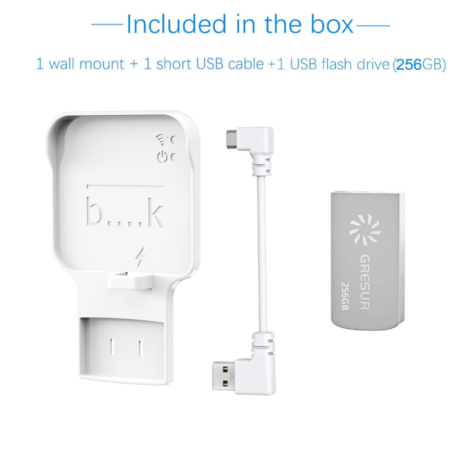 256GB USB Flash Drive for Local Video Storage with The Blink Sync Module 2 Mount (Blink Add-On Sync Module 2 is NOT Included)