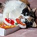 Easyology Cat Toys Interactive Pizza: The ONLY Cat Toy Served in a Pizza Box - Best Cat Toys and Fun Cat Teaser - Best Kitten Toys for Gifts - Catnip Toys Cat Charmer Cat Toys for Cats