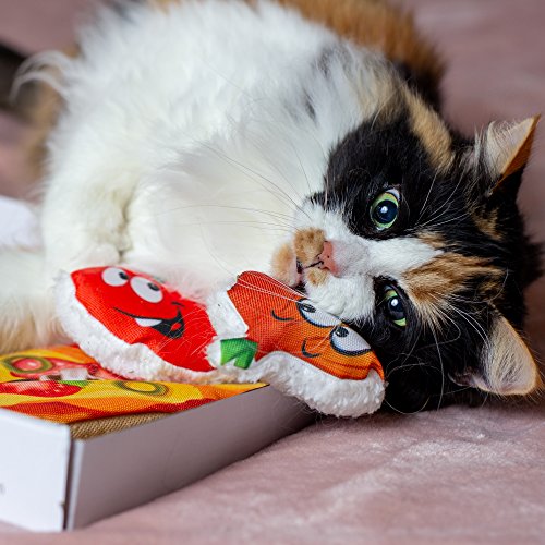 Easyology Cat Toys Interactive Pizza: The ONLY Cat Toy Served In a Pizza Box – Best Cat Toys and Fun Cat Teaser - Best Kitten Toys for gifts - Catnip Toys Cat Charmer Cat Toys for Cats - Thumbnail 6