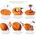 iBaseToy Halloween Pumpkin Carving Tools Kit, 13 Pieces Professional Pumpkin Carving Kit Includes Wooden Sculpture Knife, Easily Carve Jack-O-Lantern (with Storage Bag)