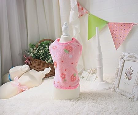 teacup chihuahua clothes amazon