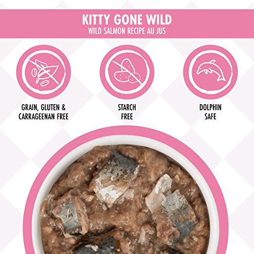 Weruva Cats in The Kitchen, Kitty Gone Wild Wet Cat Food, 10oz Can
