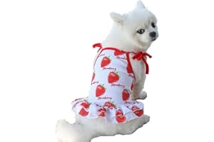 HARIKAJI Harkaji Pet Clothes,Lovely Summer Fruit Dog T-Shirt Puppy Clothes Dog Skirt Dress Cats Clothes for Small Dogs Cats Puppy (M,Strawberry Skirt)