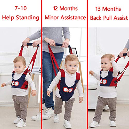 3 Adjustable+Harnesses+Breathable+Learning+Activity