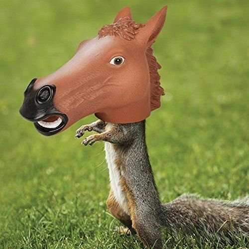 Accoutrements Horse Head Squirrel Feeder .#GH45843 3468-T34562FD172757