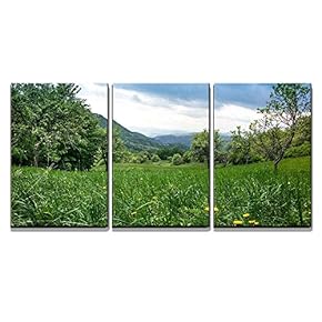3 Piece Canvas Wall Art - Dandelions in Green Grass in Untouchable Nature Field - Modern Home Art Stretched and Framed Ready to Hang - 16"x24"x3 Panels