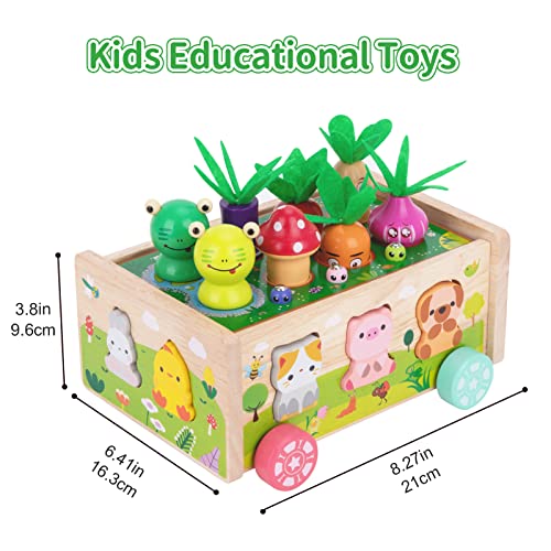Montessori Wooden Toddler Toys for 1 2 3 Years Old Boys Girls, Shape Sorting Toys First Birthday Gifts for 1-2 Years, Wood Animal Farm Car Preschool Educational Fine Motor Skills Toy