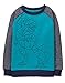 Gymboree Boys' Pieced Pullover Hoodie
