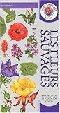 Les Fleurs Sauvages by 