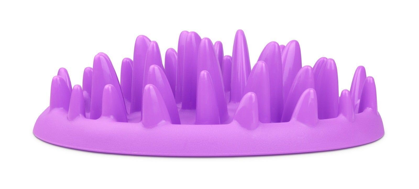 Company of Animals CATCH Interactive Cat Slow Feeder, Best Fun Slow Feeder Cat Bowl, Anti-Gulp, Gobble Stopper, Mental Stimulation Cat Puzzle Game, Suitable for Kittens & Small, Medium & Large Cats