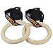 PROCIRCLE Wood Gymnastic Rings - DIA 1.25