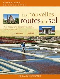 Les  nouvelles routes du sel