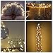 Kohree LED Globe String Lights, Remote Ball String Fairy Light for Indoor Outdoor Decoration(16.4ft,50leds), Battery Powered 8 Lighting Mode, Dimmable, Warm White