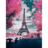 5D DIY Diamond Painting Kits for Adults, Full Drill Diamond Embroidery Dotz Kit Home Wall Decor 19.6x13.7 inch (Eiffel Tower)