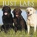 Just Labs 2020 Wall Calendar (Dog Breed Calendar) by 