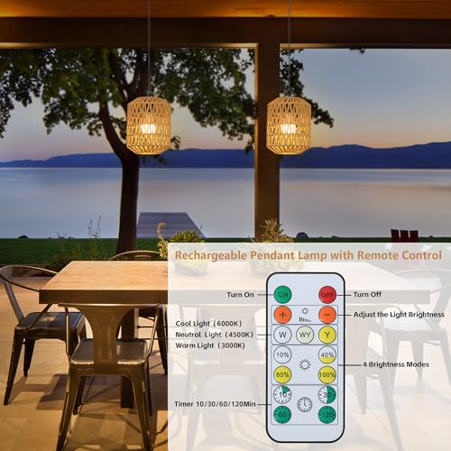 Rayofly 2 Pcs Indoor Rechargeable Hanging Lamp, Boho Hanging Lamp with Battery, Rattan Hanging Lamp without Power Supply, Outdoor Garden Lights with Bulb & Remote Control