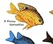 fishcardscom Waterproof Pocket Guide Book ~ Coral & Fishes ~ Florida, Bahamas & Caribbean