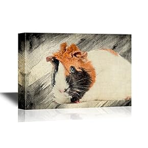 Canvas Wall Art - Guinea Pig on Abstract Background - Gallery Wrap Modern Home Art | Ready to Hang - 12x18 inches