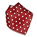 Vesuvio Napoli RED with WHITE Polka Dots Handkerchief Pocket Square Hanky Men's Handkerchiefs, 10x10 Inches