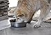Our Pets Durapet Premium Rubber-Bonded Stainless Steel Dog Bowl 4.5 Quart, 13 Cups, 10.9