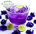 3 Pack 100% Dried Pure Butterfly Pea Flowers 1.60 Oz. (50 g.) Herbals Blue Tea, All Natural Ingredients, Nontoxic, GMO-Free, Safe and Healthy in Zipper Packaging and Get Free a Wooden Spoon by FBA